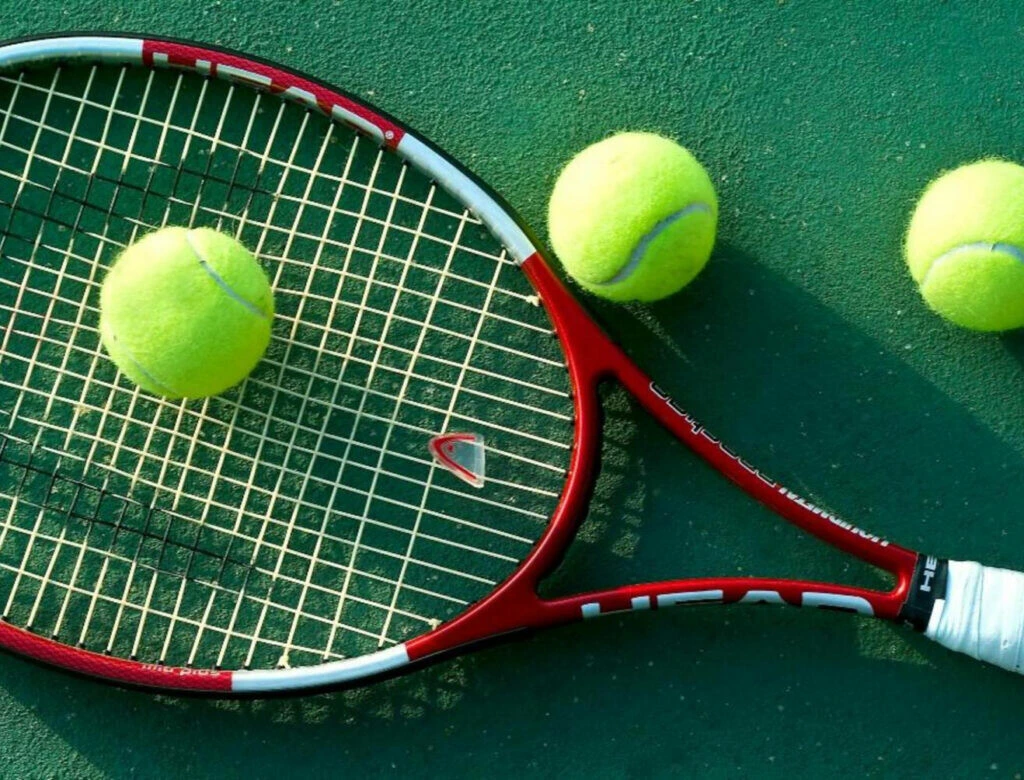 Tennis court and equipment: features and selection
